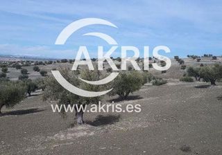 Finca rústica  Cerro clamor. En alameda de la sagra