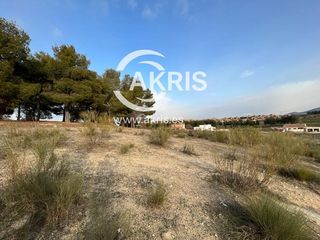 Finca rústica  Codorniz. En layos