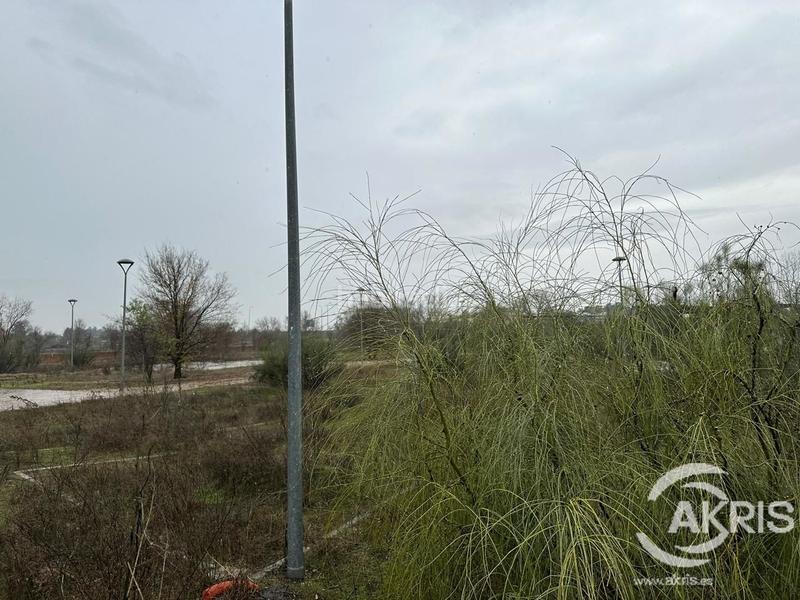 Foto c9a9720e-8ad6-4b5b-9722-0c1b5efad2d4. Terreno residencial suelo urbanizable residencial de 761 m2 en griñon en Griñón