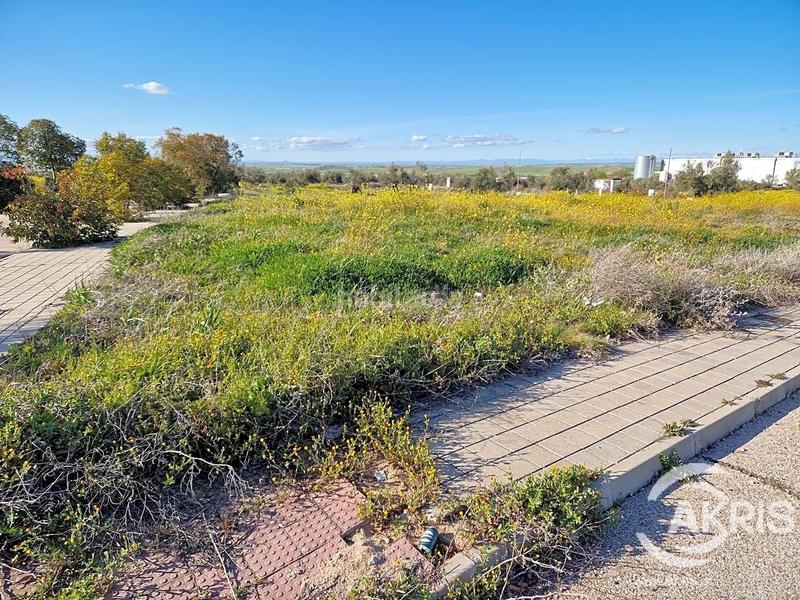 Foto eefcea58-98a4-42d7-9ab7-4e079db37bcd. Terrain résidentiel dans Olías del Rey