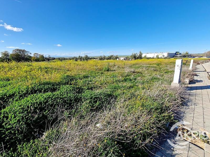 Foto a894f3fe-17e3-4d42-91fc-f4a491276e9c. Wohngrundstück in Olías del Rey