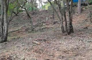 Terrain résidentiel  Carrer sant miquel. Suelo en venta en sant miquel de aro, girona