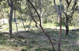 Terreny residencial  Carrer santa elena. Suelo en venta en maçanet de la selva, gerona