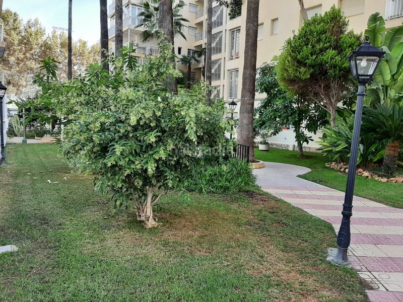 Foto 9c5ef35a-d988-4e20-96a9-709f00622ce4. Apartament amb aparcament a Playa Levante Benidorm