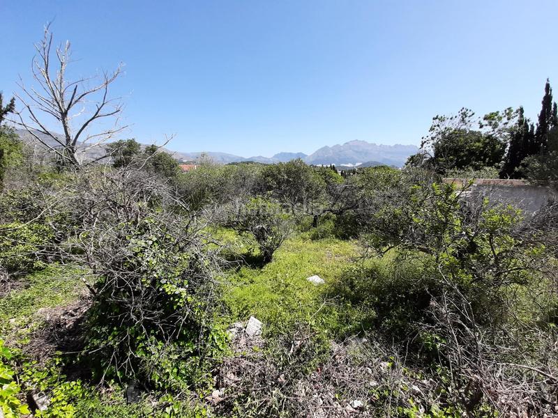 Foto d0cd06d0-d290-4494-a213-c9703aaf4cec. Terrain résidentiel dans Polop