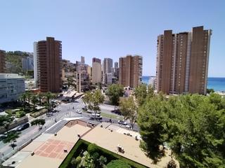 Estudi a Playa Levante. Precioso estudio situado en la avenida mediterraneo. reformado.