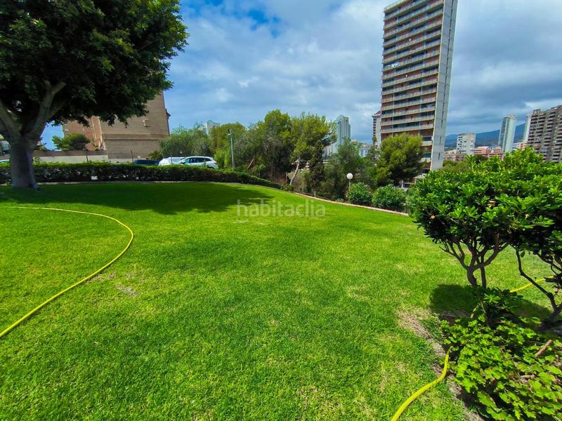 Foto d6d88fa9-eeda-4e62-b6b9-766e5d92d595. Piccolo appartamento con parcheggio piscina in Playa Poniente Benidorm