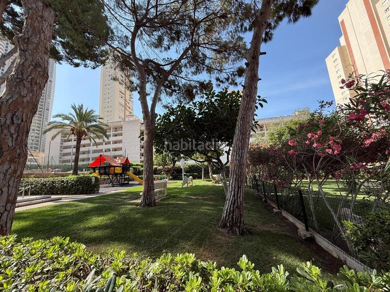 Foto 7e47e51e-d108-4e02-be68-78db9c3c9a7c. Piccolo appartamento con parcheggio in Rincón Alto Benidorm