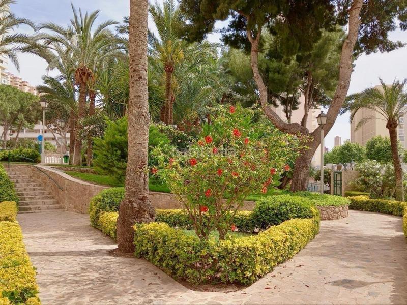 Foto 91e23930-f042-4193-82ff-86eb8ea14857. Monolocale con parcheggio piscina in Rincón Alto Benidorm