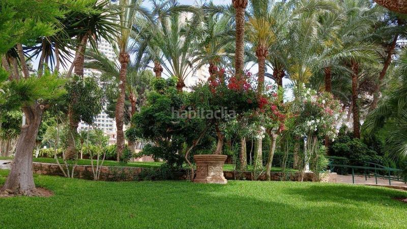 Foto b919c3c9-0e39-44b9-8028-e92952027d72. Monolocale con parcheggio piscina in Rincón Alto Benidorm
