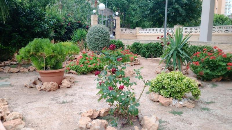 Foto dffe3f00-b300-4e0c-9726-4c86fa29632b. Piccolo appartamento con parcheggio piscina in Rincón Bajo Benidorm