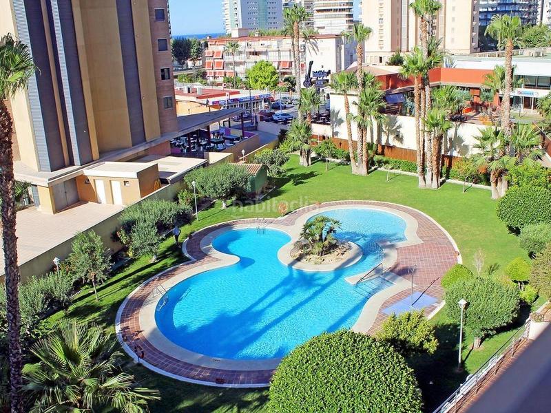 Foto fbeaa40d-bda6-4303-af68-8a95542536a4. Apartamento piso en Playa Levante en Playa Levante Benidorm