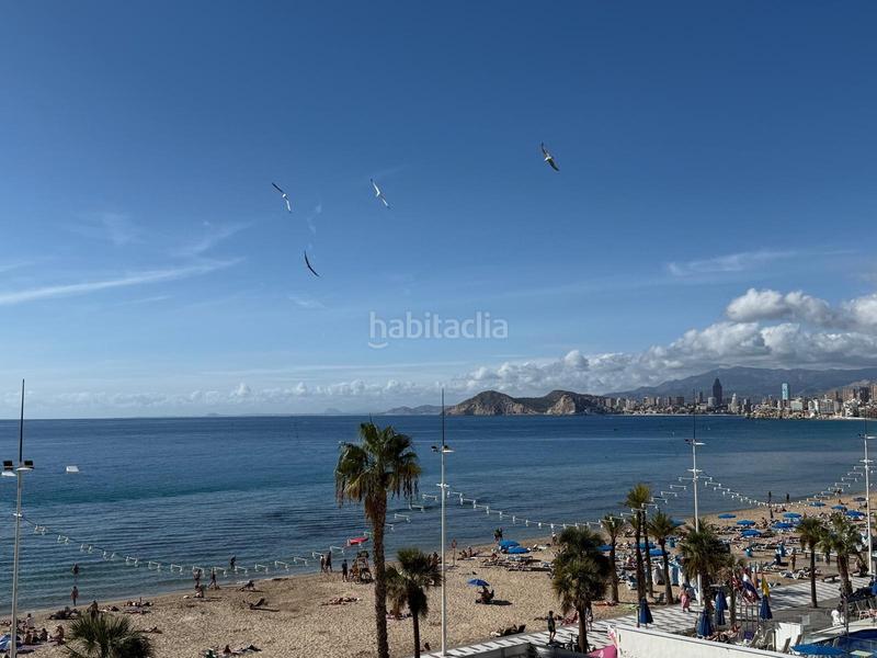 Foto 9416d8a8-4f4b-4d3c-b213-b386dfc49819. Piso  en primera línea de levante en Playa Levante Benidorm