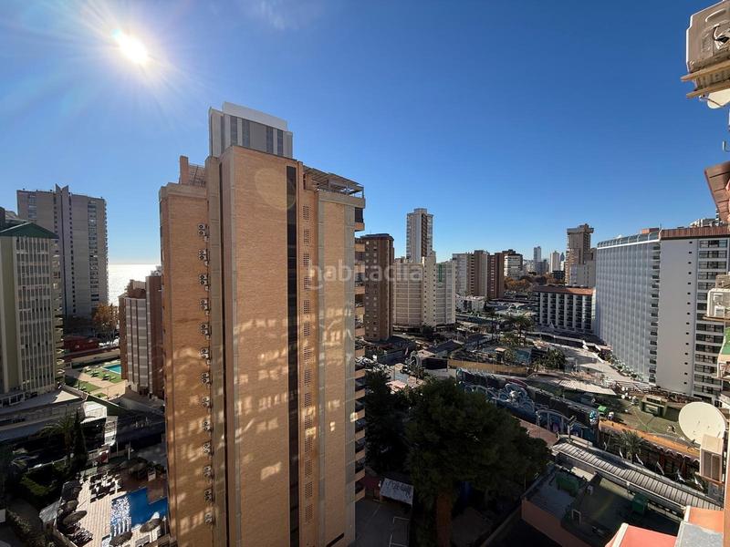 Foto 1a03c592-076a-46b8-9cbe-dae6398970d0. Piccolo appartamento con parcheggio piscina in Playa Levante Benidorm