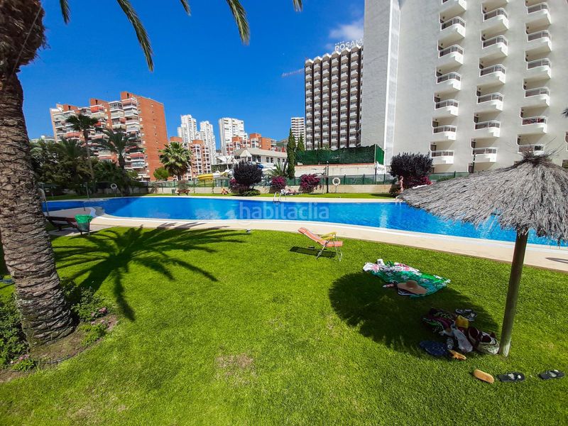 Foto 5acf2f47-e610-45bb-9eca-bf815384eaa4. Apartament amb calefacció piscina a Rincón Bajo Benidorm
