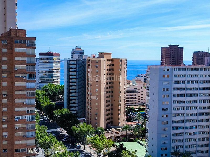 Foto 1469f28a-b2ee-4efd-942e-83362ce0dbeb. Apartament amb aparcament piscina a Levante Alto Benidorm