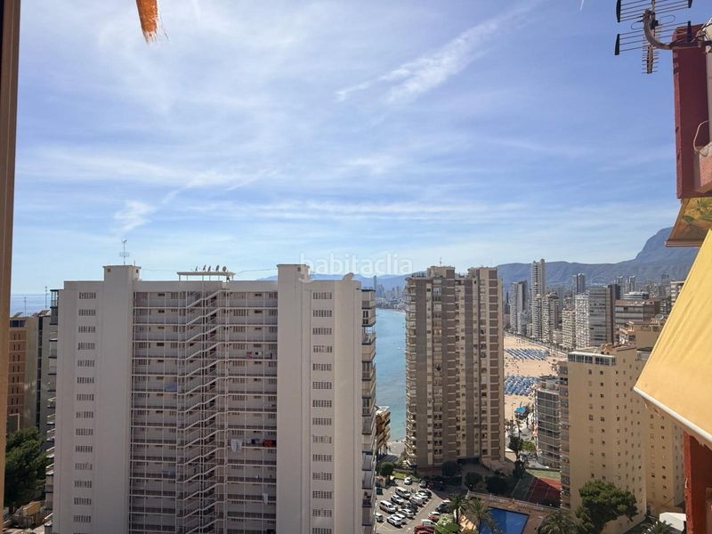 Foto 52c3ea2d-3513-44e8-a574-ab44cc1d26f5. Estudi amb piscina a Rincón Alto Benidorm