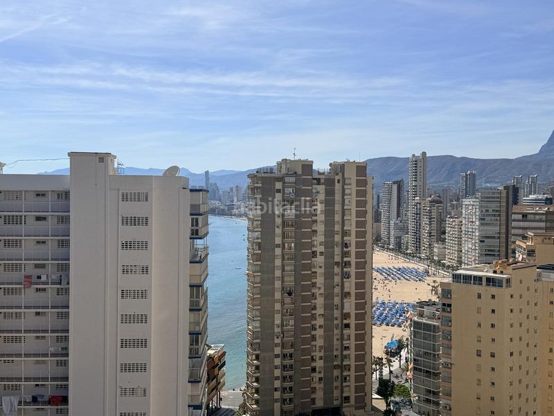 Foto 630868f0-9a9b-4e5e-84db-2a0d56d38dc8. Estudi amb piscina a Rincón Alto Benidorm