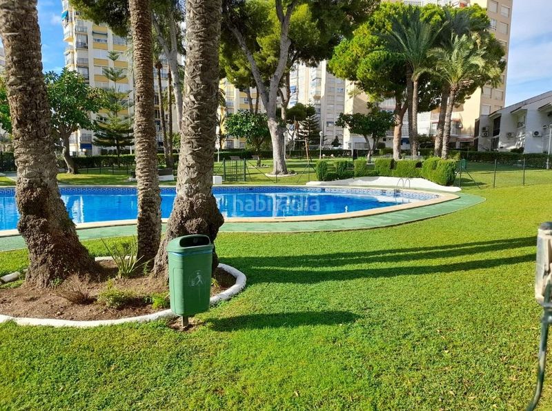 Foto 67e4e6e2-60e3-4345-82a0-c4b05515b252. Pis amb aparcament piscina a Playa Poniente Benidorm