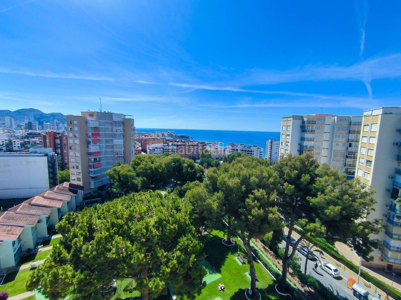 Foto e0d6cdcc-be00-402d-aaf3-a378f24478a3. Pis amb aparcament piscina a Playa Poniente Benidorm