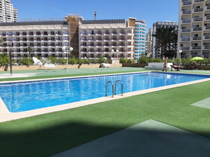 Foto a4f7330b-7ad1-422e-89a8-ad0a9418764a. Apartament amb piscina a Playa Levante Benidorm