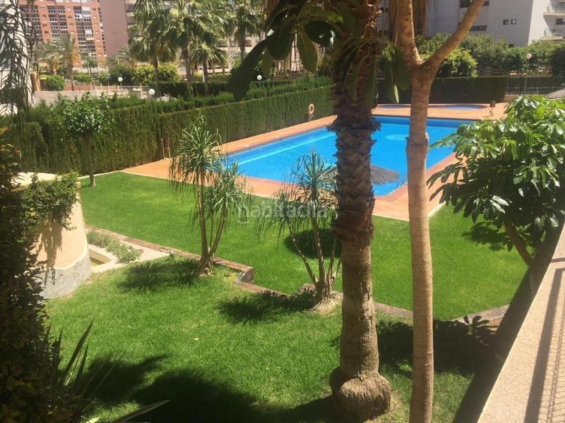 Foto 8783e533-7b85-4774-8c12-d35fc4a3bd5d. Pis amb aparcament piscina a Cala Alta-Veramar Vila Joiosa (la)