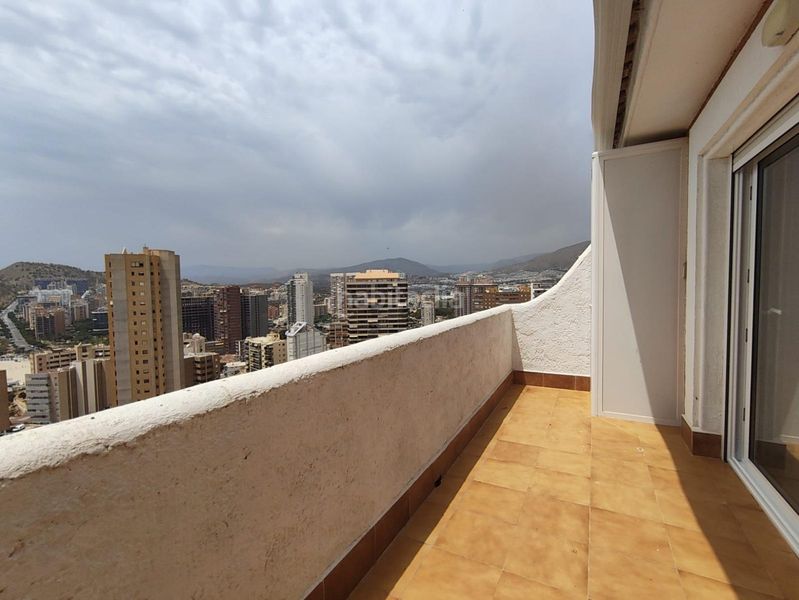 Foto e59904de-f0af-440e-bd39-b78df256ca23. Apartament amb piscina a Playa Poniente Benidorm