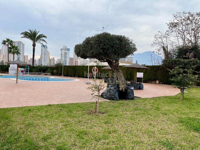 Foto f4931066-7c06-421c-87a0-b5018e2c45c4. Apartament amb aparcament piscina a Rincón Bajo Benidorm