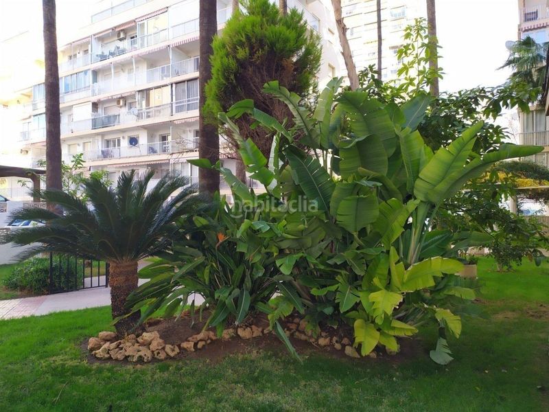Foto 4661343c-07c9-4465-91a5-4c33ba1f7b21. Pis amb calefacció aparcament a Playa Levante Benidorm