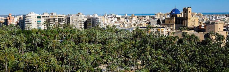 Foto 4f3470ea-ca7f-4699-a345-d151446ca39e. Alquiler local comercial  en av. pais valenciano en Elche / Elx