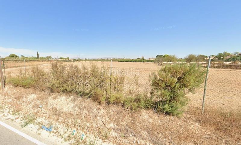 Foto fdfe09fc-ae4f-4abc-b40c-131ea8975c2c. Fondo rustico in partida perleta in Perleta - Maitino Elche / Elx