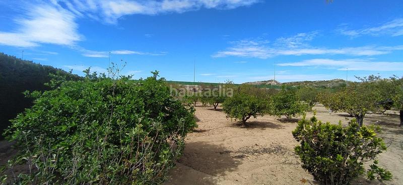 Foto 56b88afb-ab11-4a37-ade6-ce1eb5aa97bf. Xalet amb aparcament piscina a Jubalcoi Elche / Elx