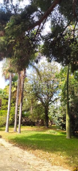 Foto 28b43db1-7f68-42b3-8c6f-236d8b61e14d. Chalet in partida perleta 1220 in Perleta - Maitino Elche / Elx