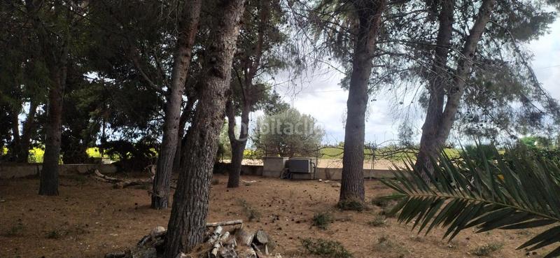 Foto d2b6e1c4-fff2-4f74-b972-801e74169bbf. Chalet in partida perleta 1220 in Perleta - Maitino Elche / Elx