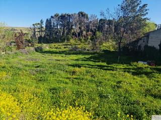 Terrain résidentiel  Calle del molino