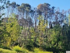 Foto d12537fd-07dd-4582-9941-956d969b3d55. Terreny residencial a Batres