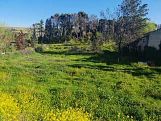 Residential Plot in Batres. Terreno en venta en c del molino 16, batres