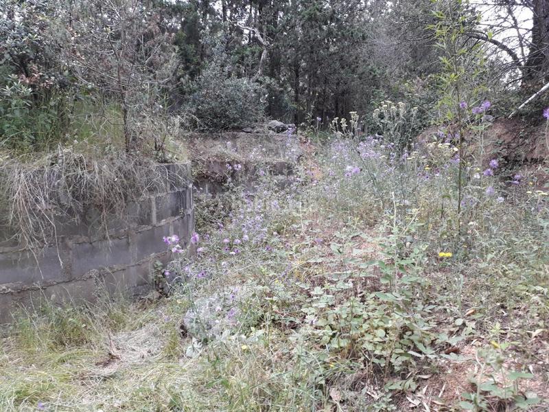 Foto 4e350983-400e-429f-9224-bda91aa19db5. Residential plot in Niàgara Parc -Àgora Parc Tordera