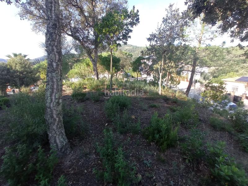 Foto e2b75f04-89be-4352-9fd2-1ad2503a8910. Terreny residencial a Niàgara Parc -Àgora Parc Tordera