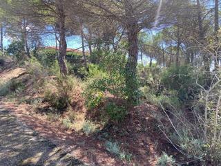 Terreno residencial en La Goba