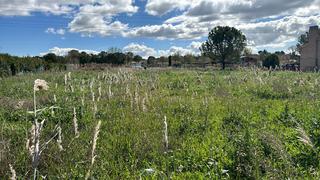Residential Plot in N/a