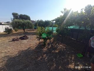 Residential Plot in Calle pozo-idarsagra 21