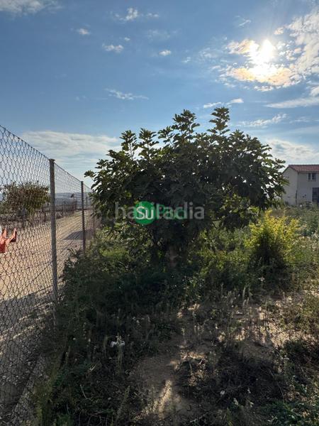 Foto b3d93d6b-a0a7-45c7-bf32-330f79b9c962. Terreno residenziale in calle sauces 6 in Numancia de la Sagra