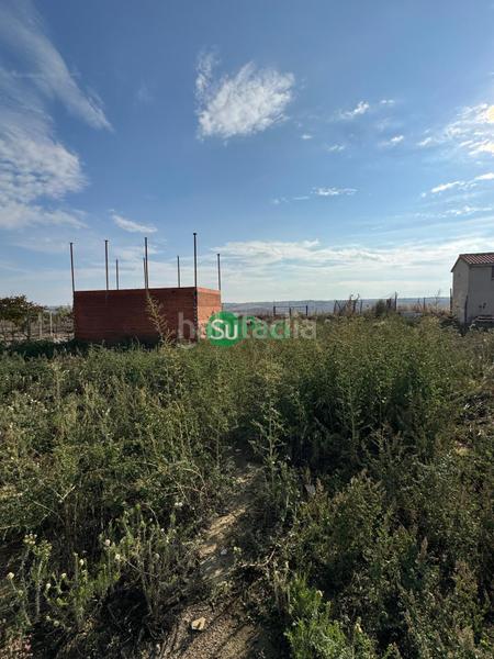 Foto f7f93987-3769-4cd0-9d39-2f9471c2896c. Terreno residenziale in calle sauces 6 in Numancia de la Sagra