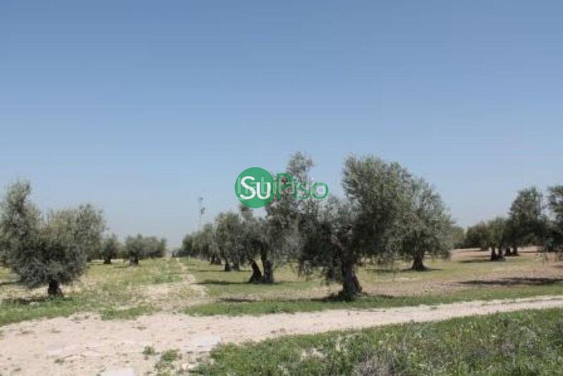 Foto 1fff6d99-56b6-44d9-b684-49bc40be8a43. Finca rústica a Yeles