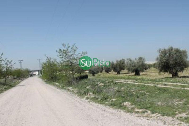 Foto 38486c24-9c63-4c3c-a77d-d14b812b47c6. Finca rústica a Yeles