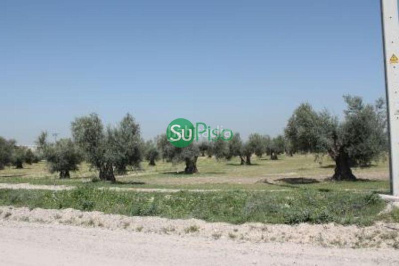 Foto 5a407d90-ea11-4b5d-8172-179c826c4d19. Finca rústica a Yeles