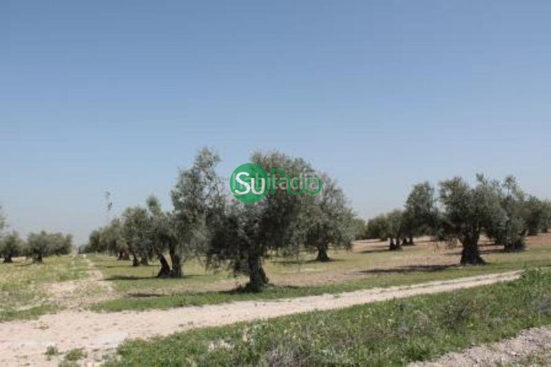 Foto ac34f3e6-0d30-44cb-8e55-964a6db34c54. Finca rústica a Yeles
