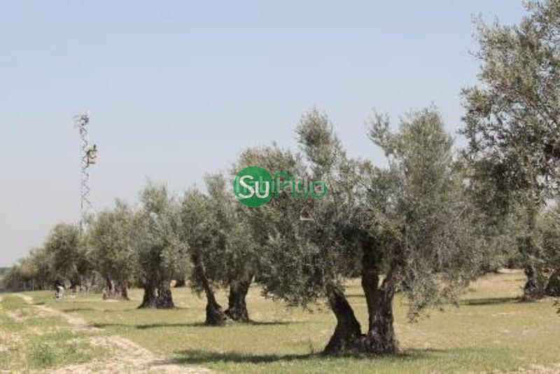 Foto c8ee594c-1f4c-4943-95d1-ea5a0b140efc. Finca rústica a Yeles