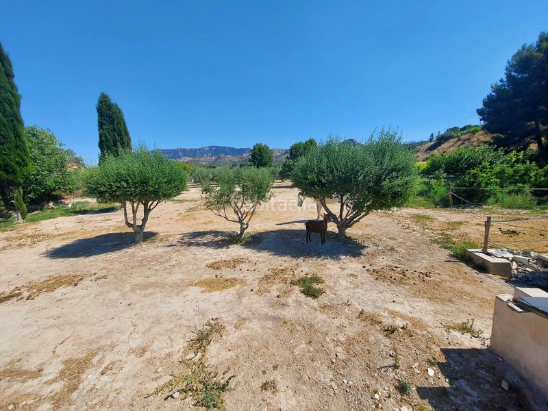 Foto b3590642-baca-42dd-9eb3-eda4b70c7494. Masia amb aparcament piscina a Cieza